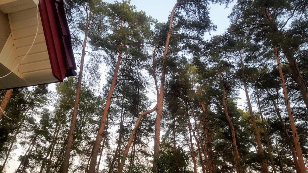 J&W MAZURY luksusowe domy wakacyjne luxuriöses Ferienhaus am See luxury Lakehouse z własną plażą-DOM CZAPLA Waplewo  Zewnętrze zdjęcie